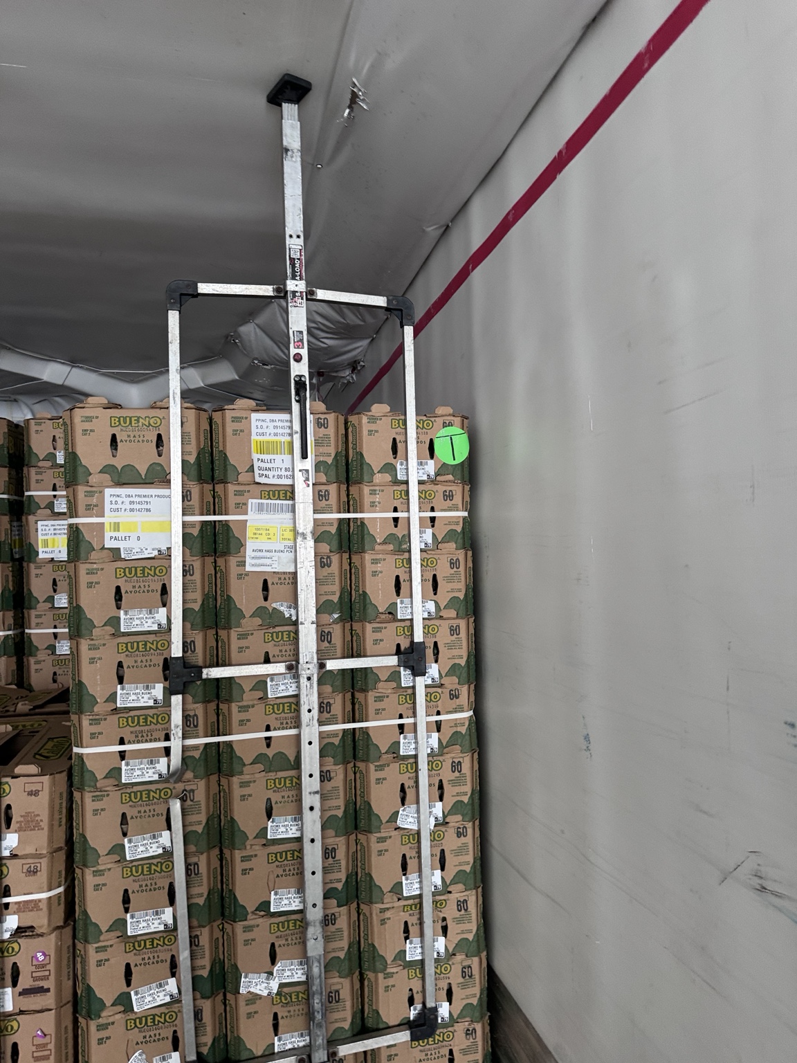 Avocado shipment secured inside refrigerated trailer