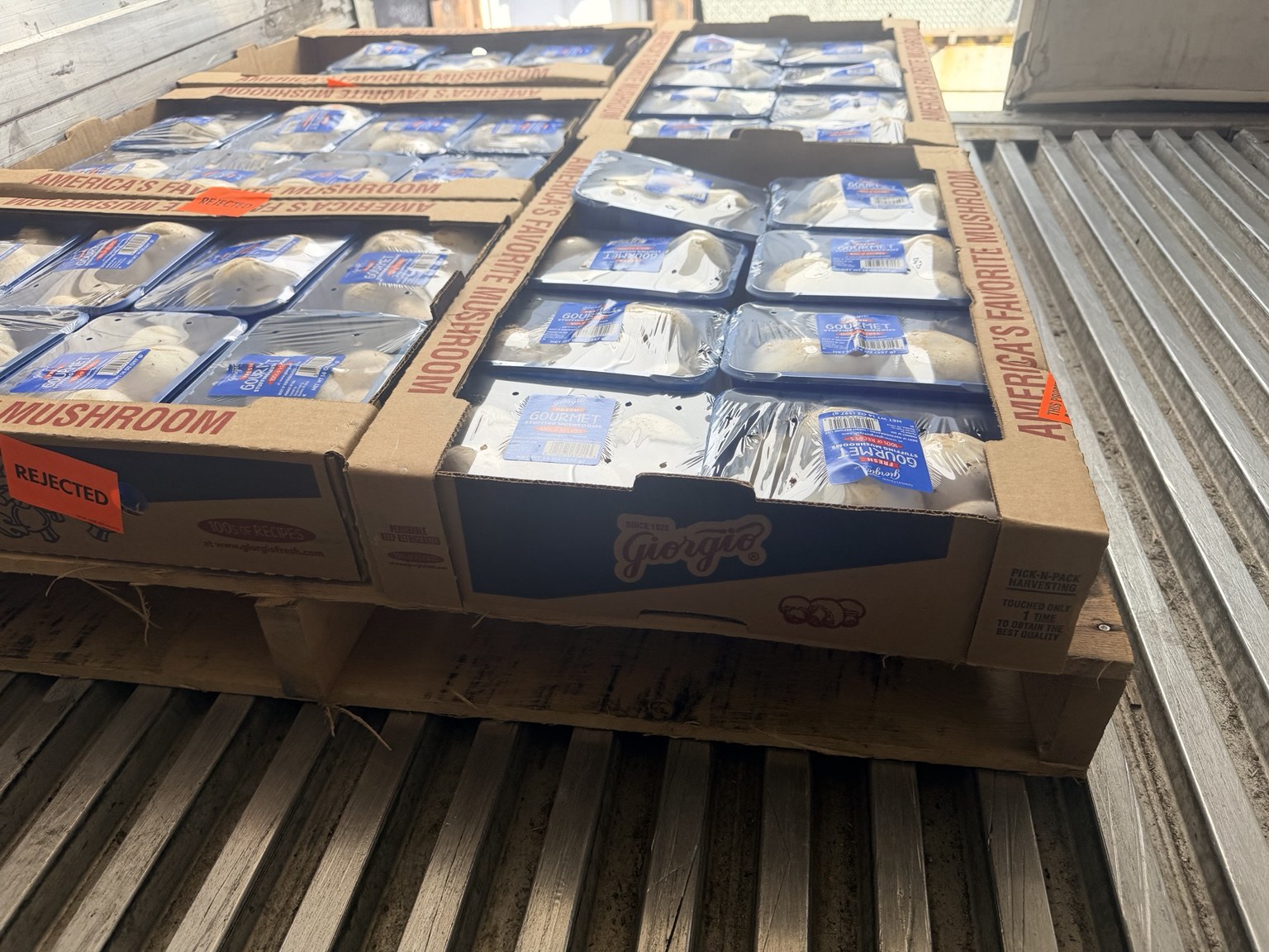 Constant Trucking operation photo — Mushrooms Close