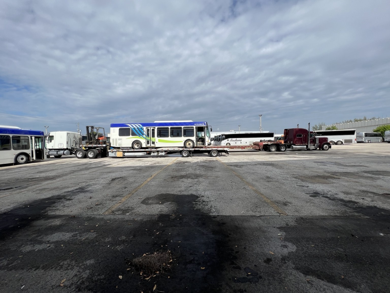 Constant Trucking operation photo — Mushrooms Extra